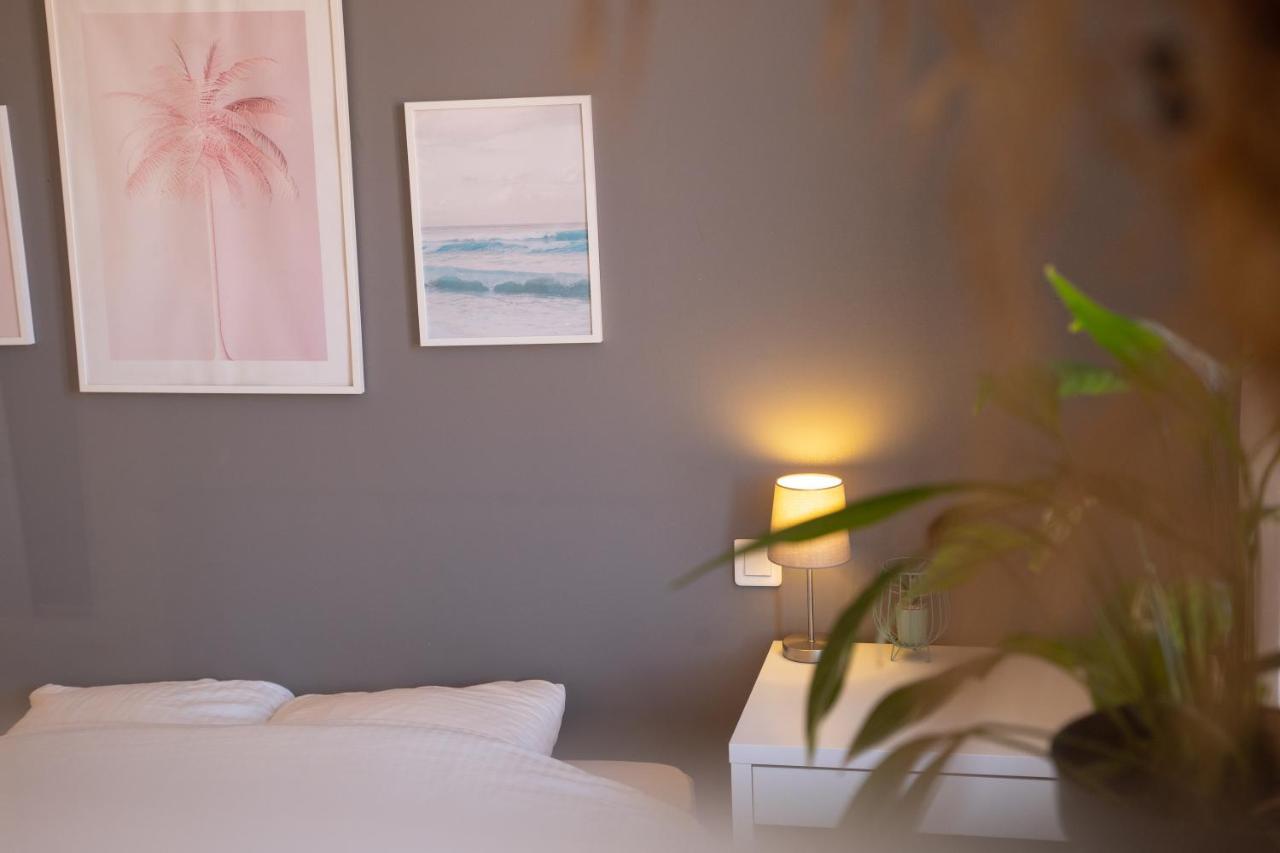 T2 33M2 Climatise - Frejus Centre, Proche Plage Экстерьер фото